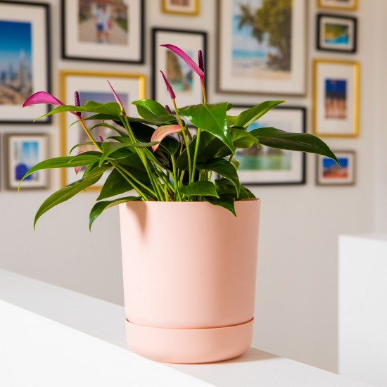 Satina Plant Pots Powder Pink